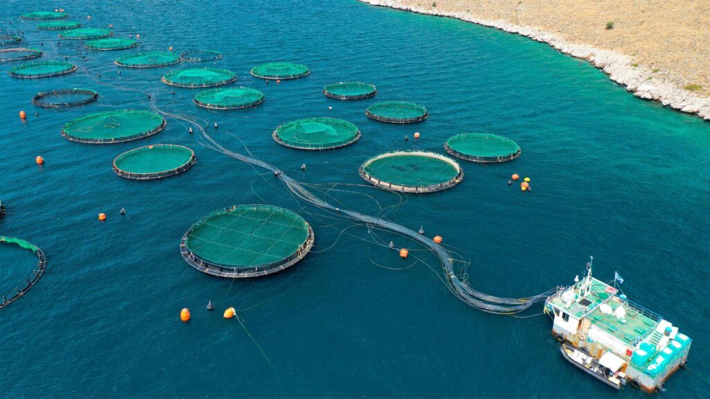 The Importance of Capacity Building in Sustainable Aquaculture