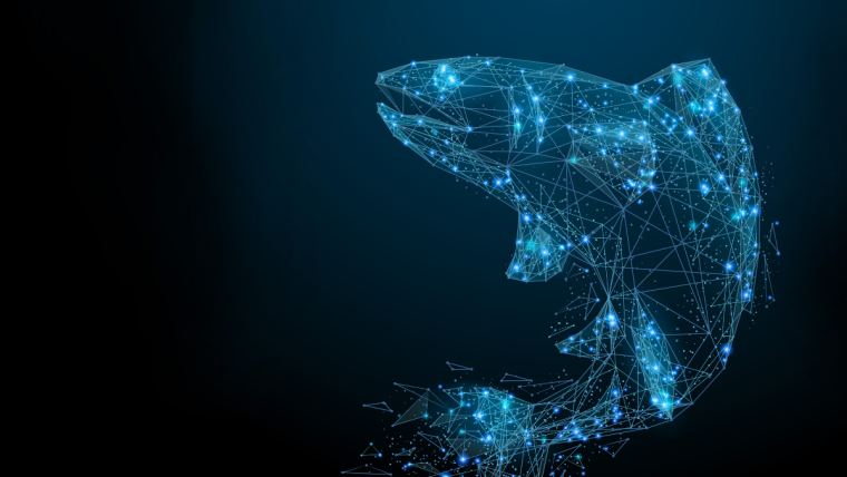 Innovations in Fish Farming: Embracing Technology for Enhanced Productivity